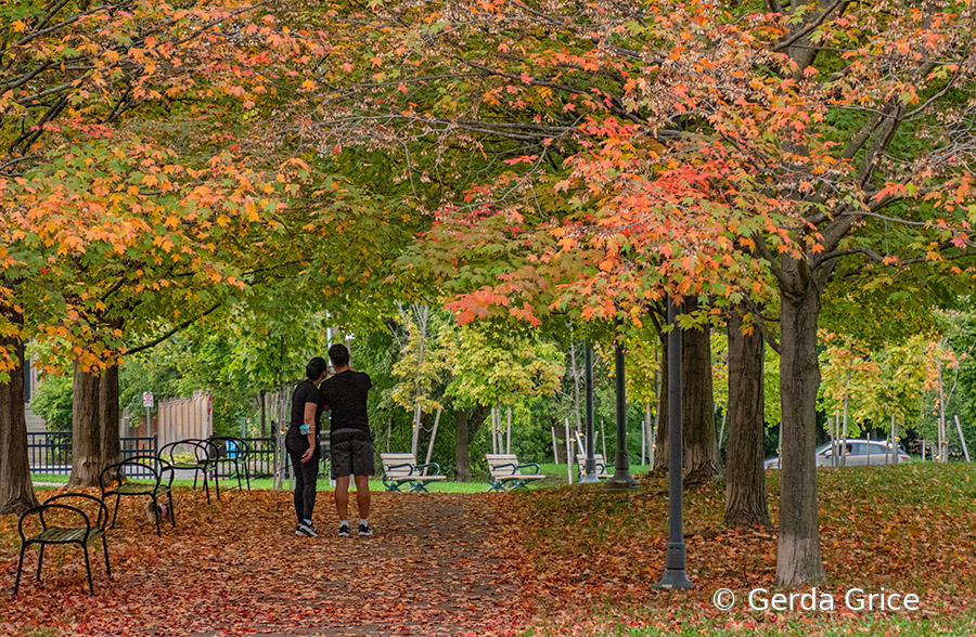 Thanksgiving Day in Dempsey Park, Toronto, ON