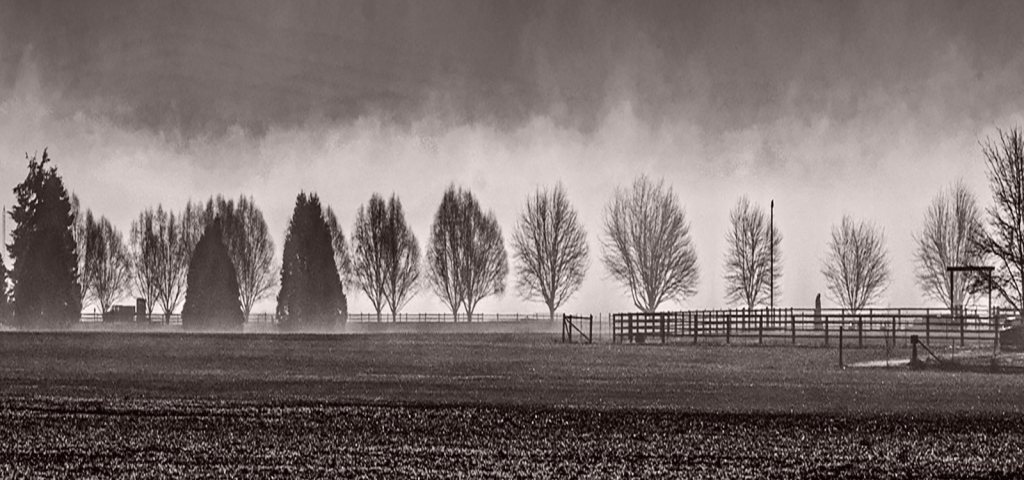 Foggy Morning On The Farm