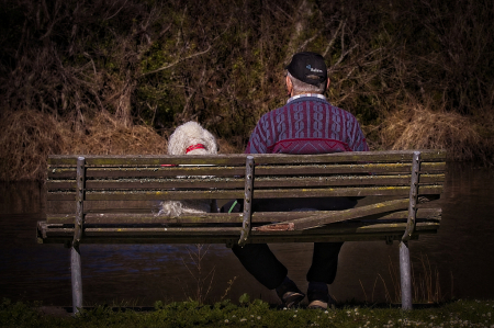 Man and his dog