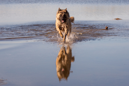 Running in the water