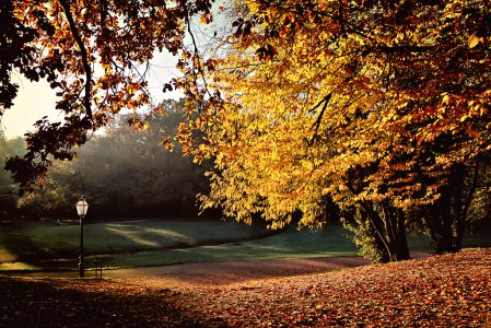 Autumn Lamp