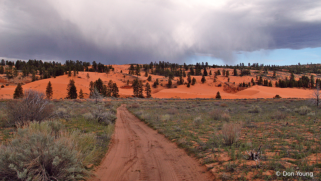 Distant Rain - ID: 15956888 © Don Young