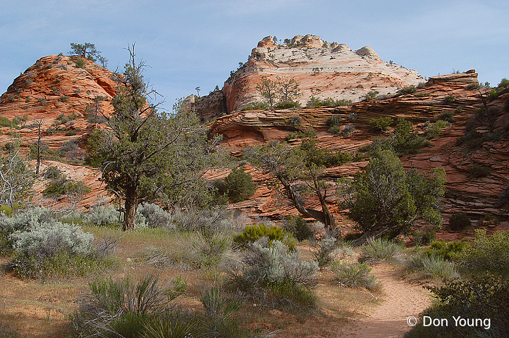 Desert Path - ID: 15956895 © Don Young
