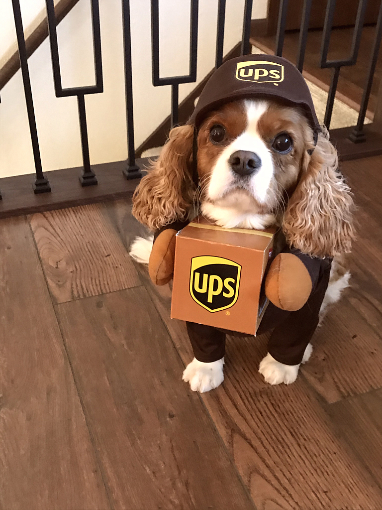 UPS GUY (CHARLIE)