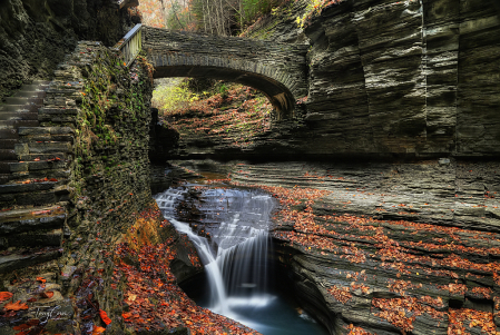 Autumn in the Glen