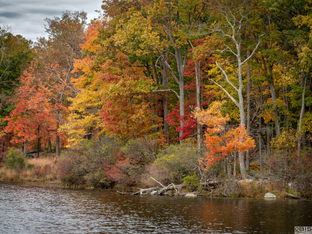 Fall is here