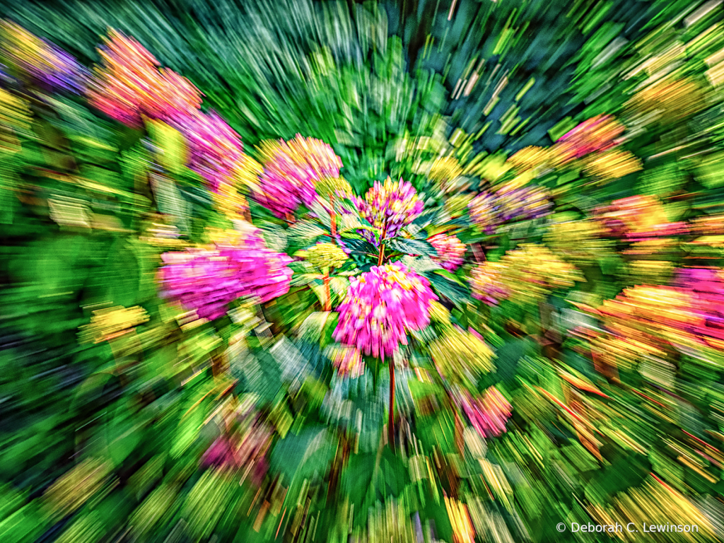 Floral Zoom
