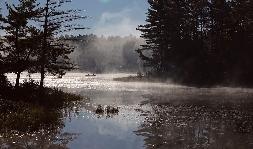 Misty Morning (Algonquin Park)