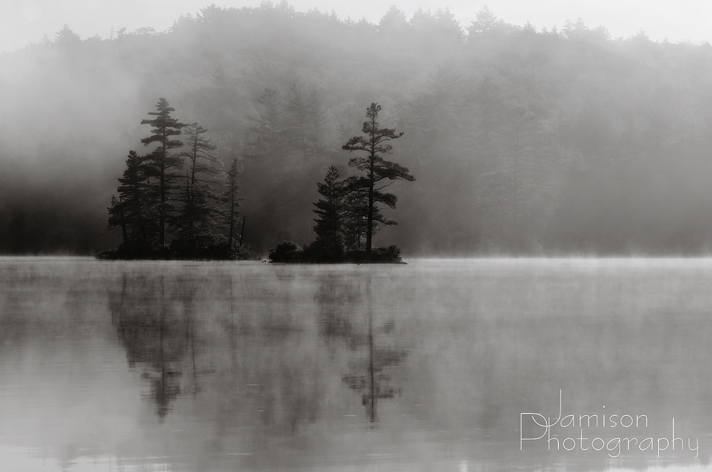 Canadian Morning Mist
