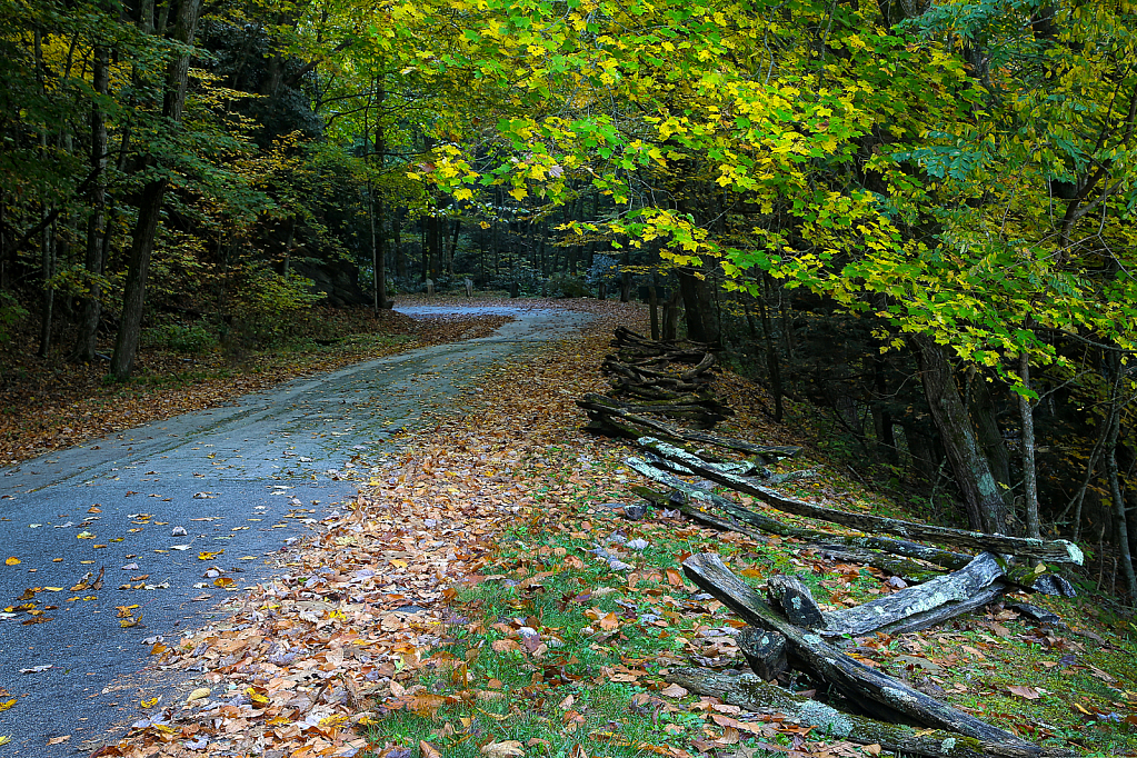 Country Lane