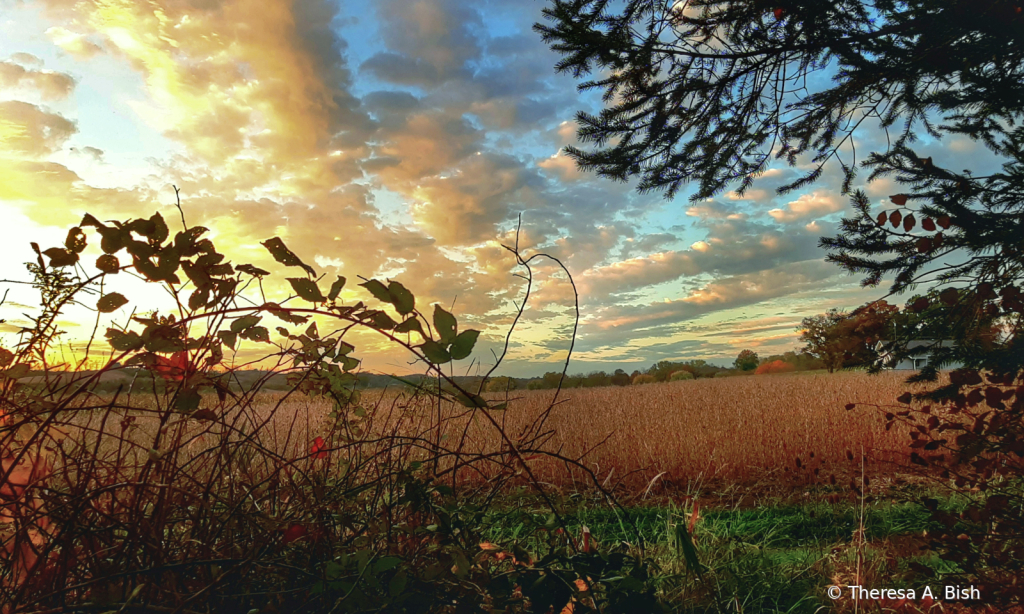 Autumn Sunset 