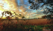 Autumn Sunset 