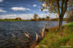 Pond in the fall