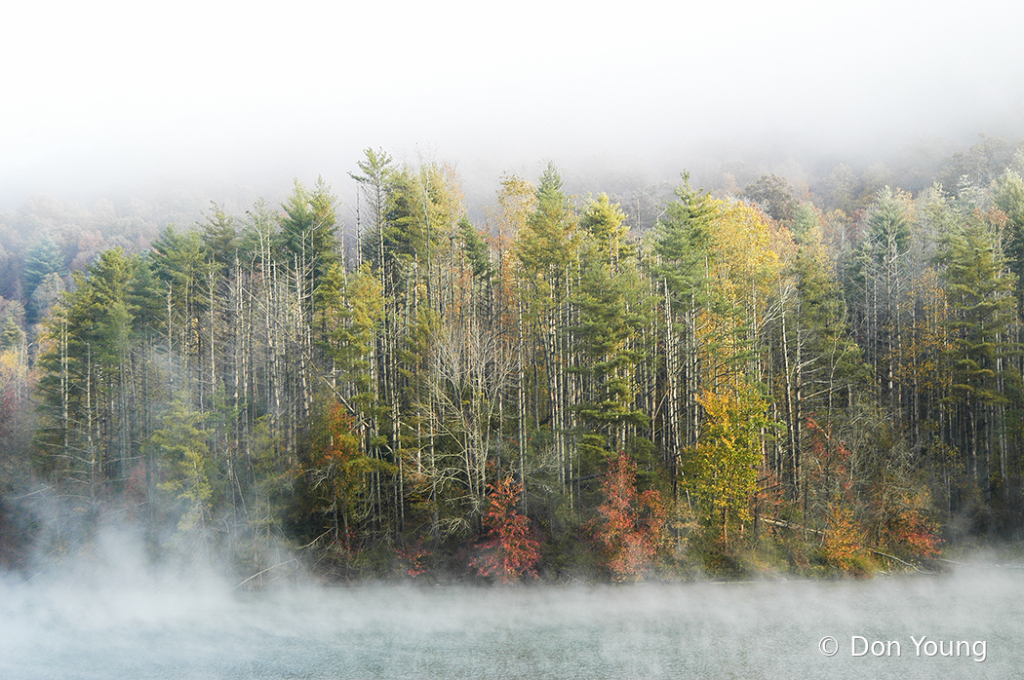 Autumn At Jenny Lake