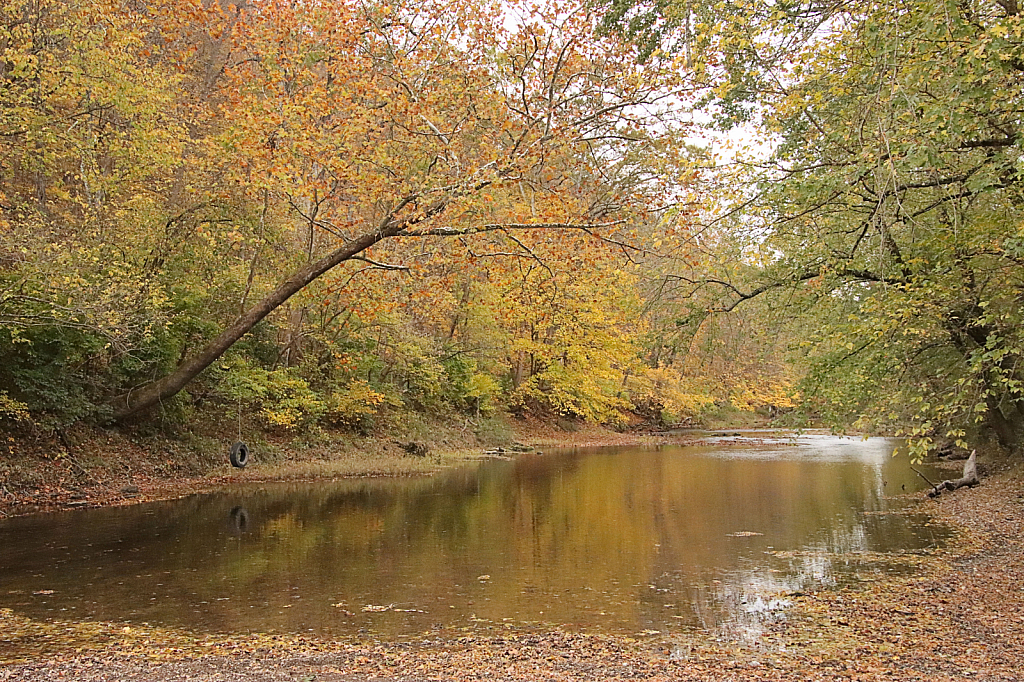 Autumn Swing