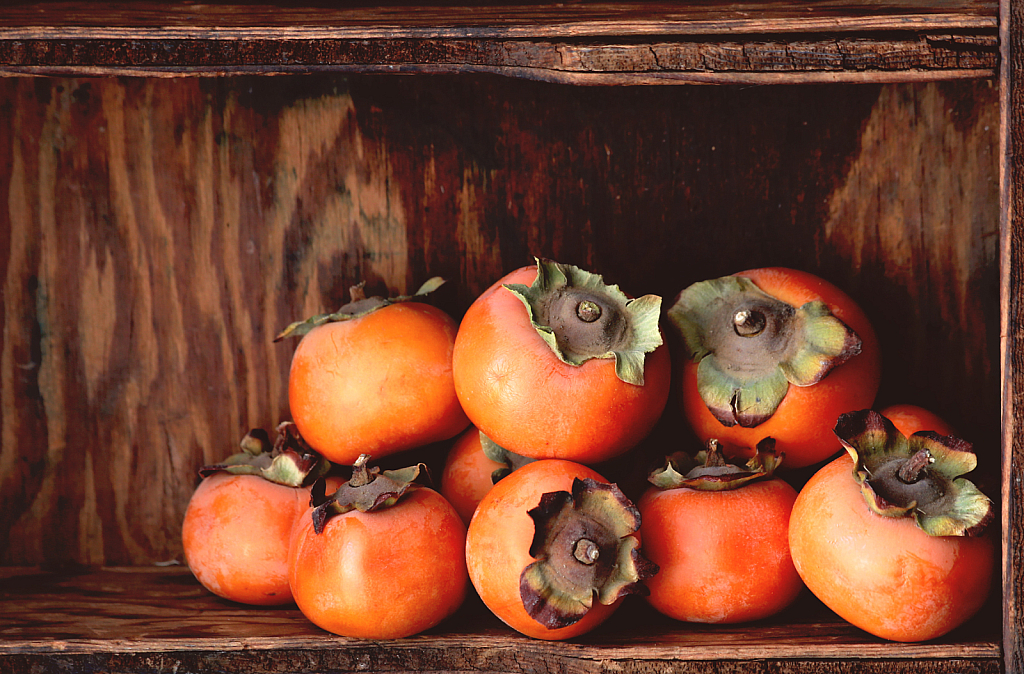 Group of Persimmons