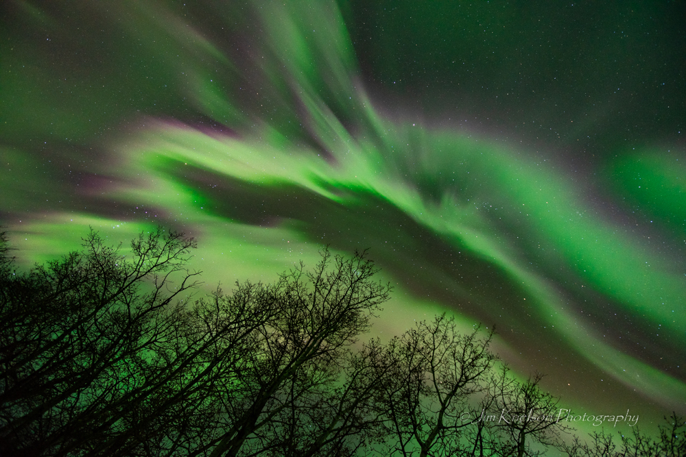 November 4th Aurora #6 - ID: 15959705 © Jim D. Knelson