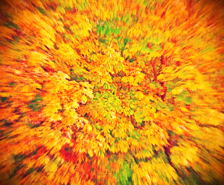 Fall colors extended.Abstract.