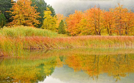 Autumn color palette and mood.