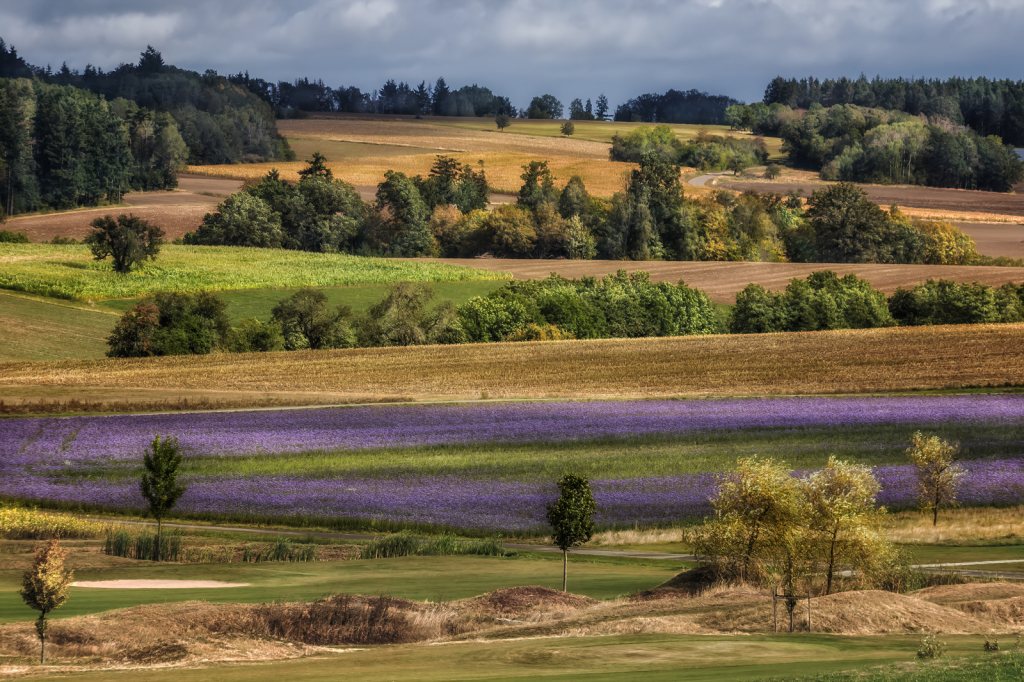 Layers of Nature  6175