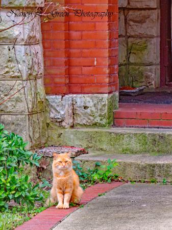 Garfield,The Doorman