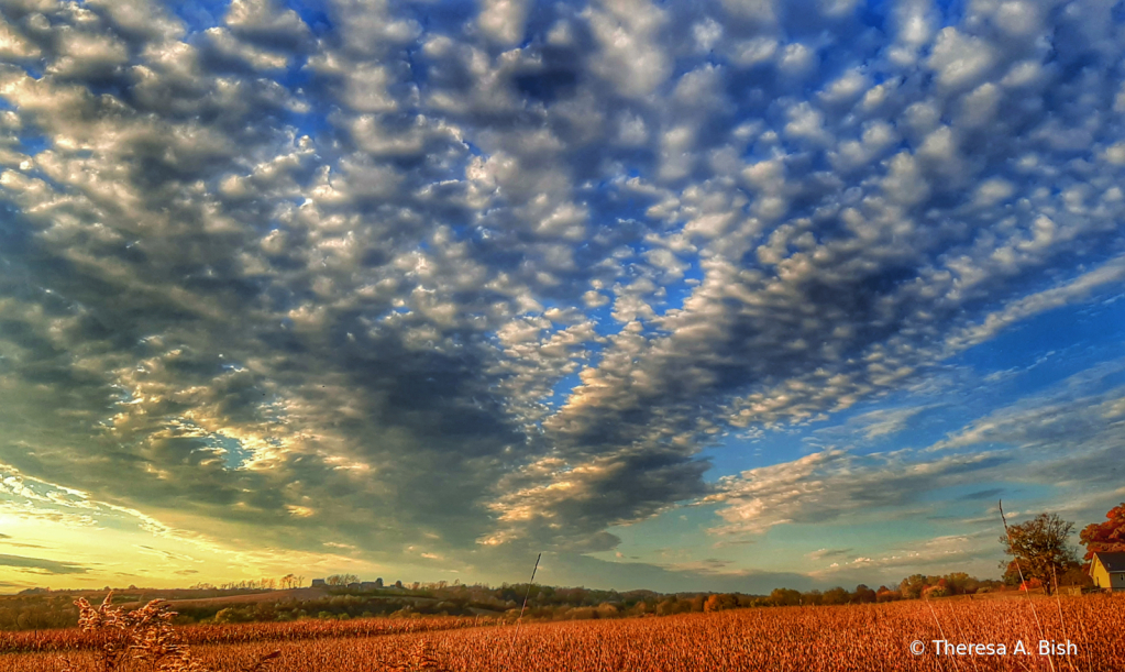 Clouds Over the Farmland 