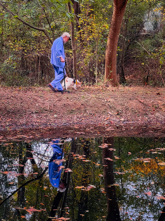 Walking the Dog