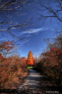 Path to Fall