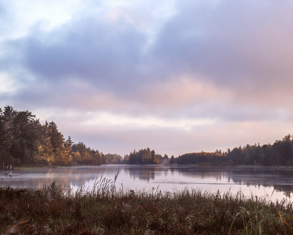 Morning at the Lake - ID: 15960757 © Paula Hildy