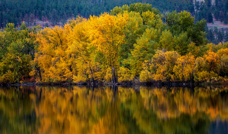 Autumn Reflections