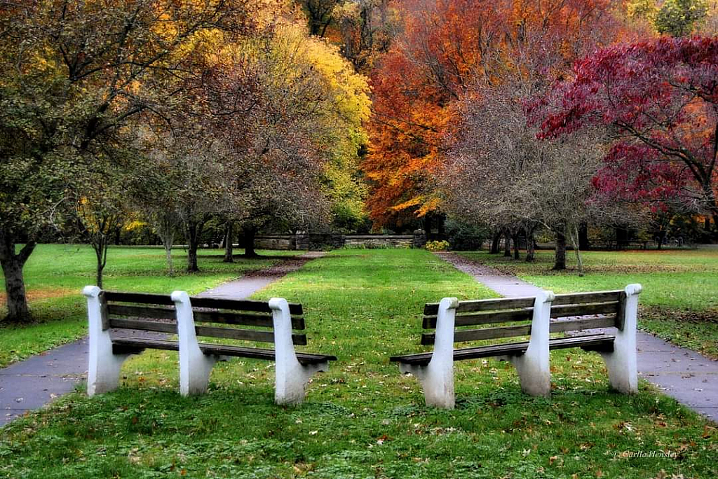 Autumn seating for lovers.