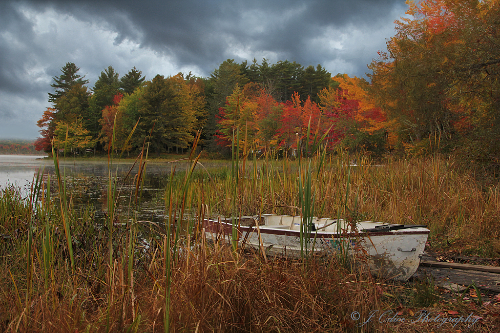 Abandoned on Berry Pond