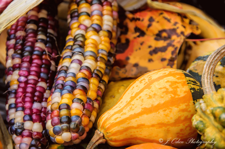 Farmer's Market Fall Colors