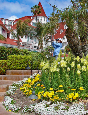 Hotel Del Coronado