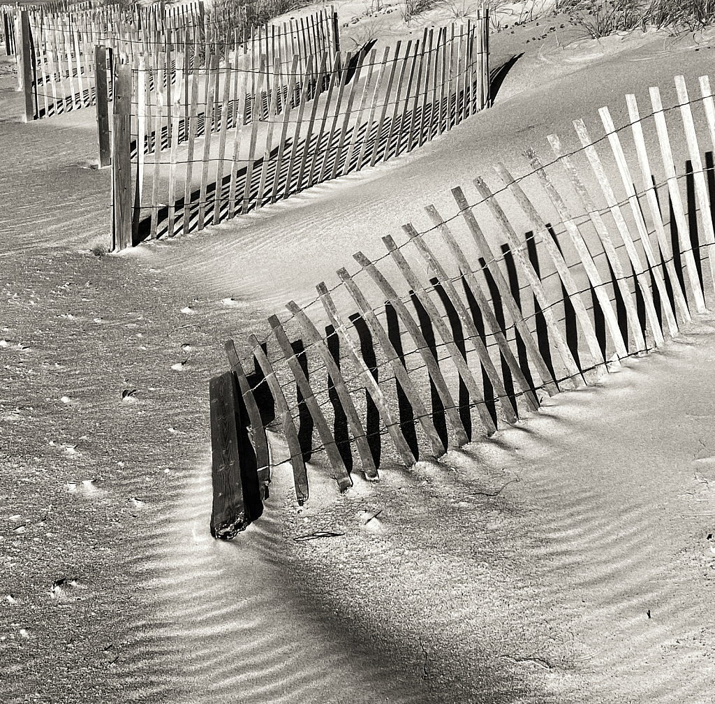 Dune Fence