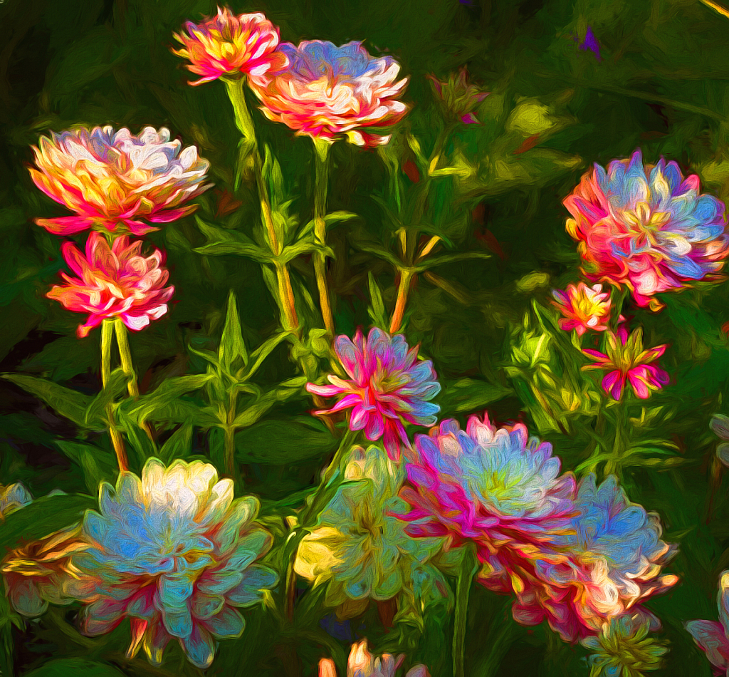Luminious Blossoms - ID: 15962844 © John D. Roach