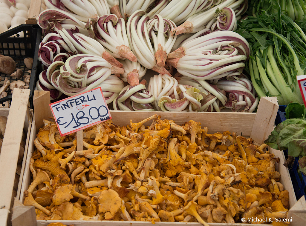 Mushrooms for Sale at Padova Market - ID: 15963413 © Michael K. Salemi