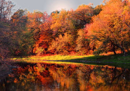 Reflected Fall Color