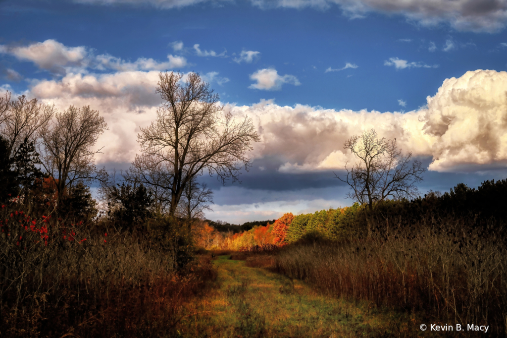 Fields of Color #3