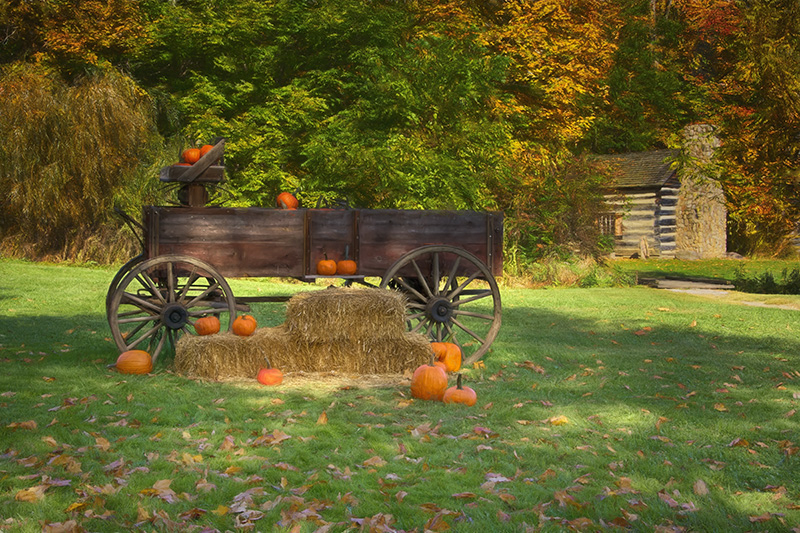Autumn at Hale Farm