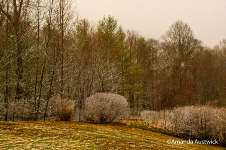 Early Snowfall