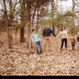 © Cindy J. Hiles PhotoID # 15964023: 202111202K6A3549