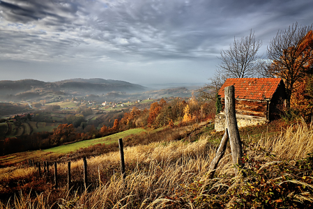 Autumn View