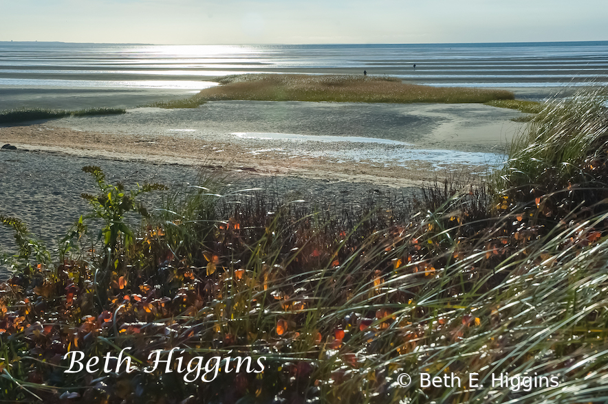 Late Afternoon, First Encounter Beach - ID: 15964288 © Beth E. Higgins