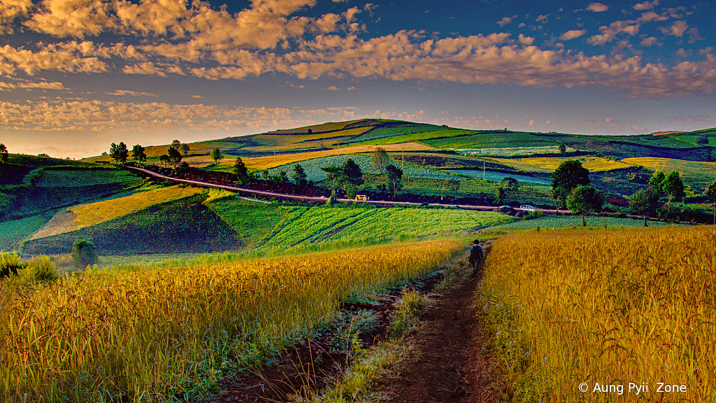 Country road