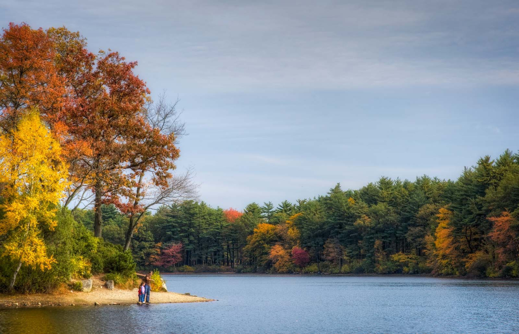 Autumn Colors