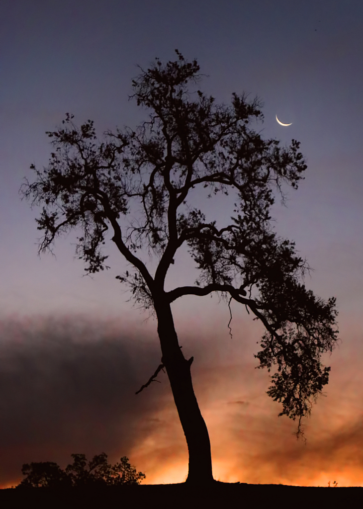 Sunrise and Cresscent Moon
