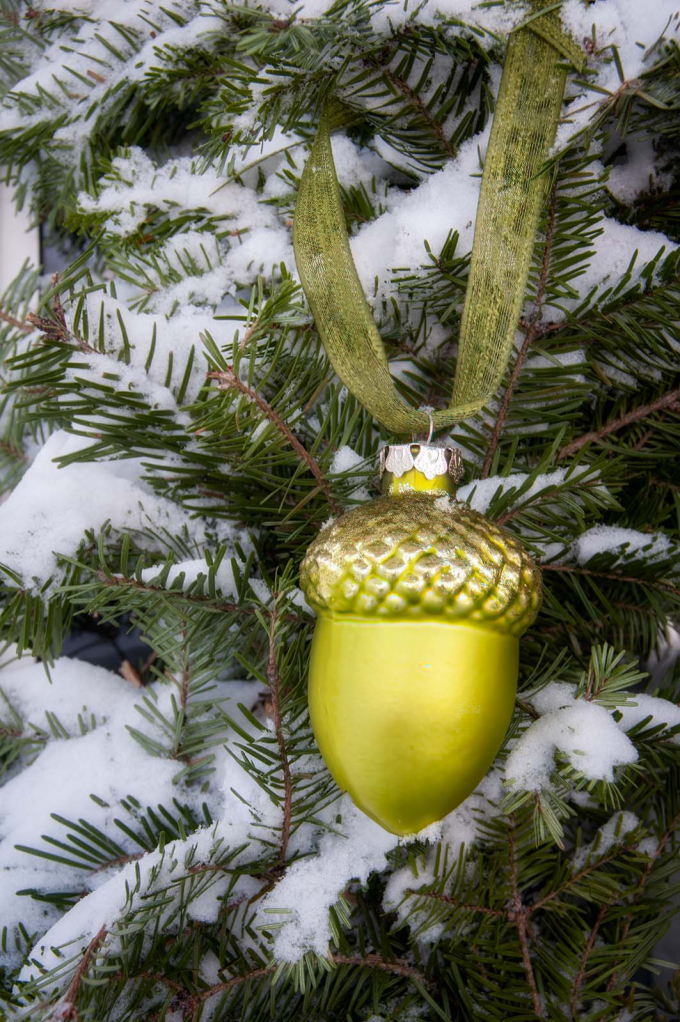 Acorn Ornament