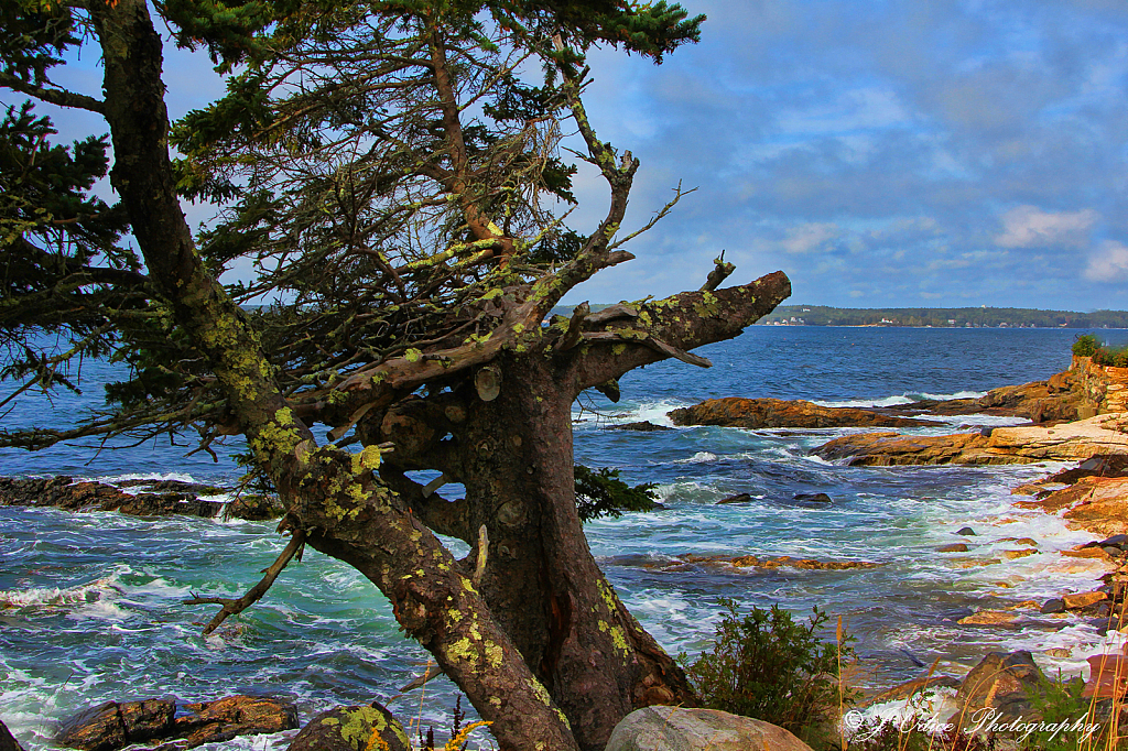 Boothbay Harbor Coastline