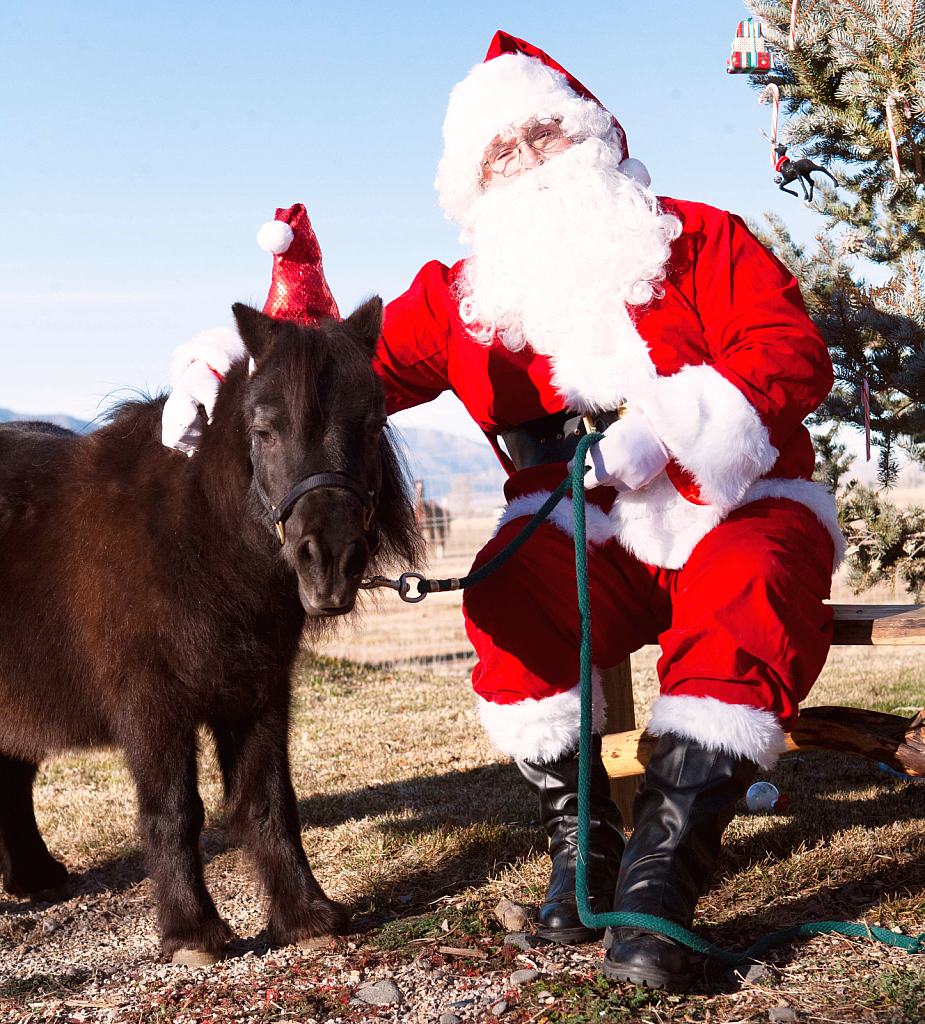 Hobbs and Santa - ID: 15965504 © Wendy Wyatt
